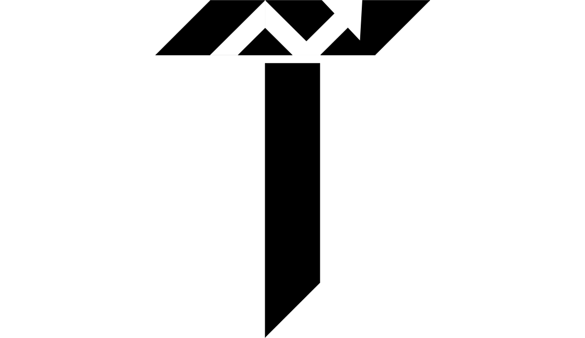 Trendgineer Logo